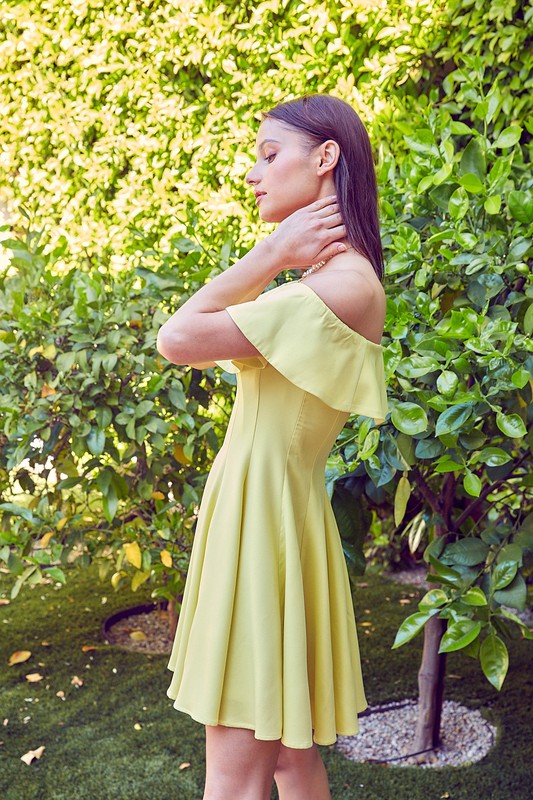 Summer Line Ruffle Dress