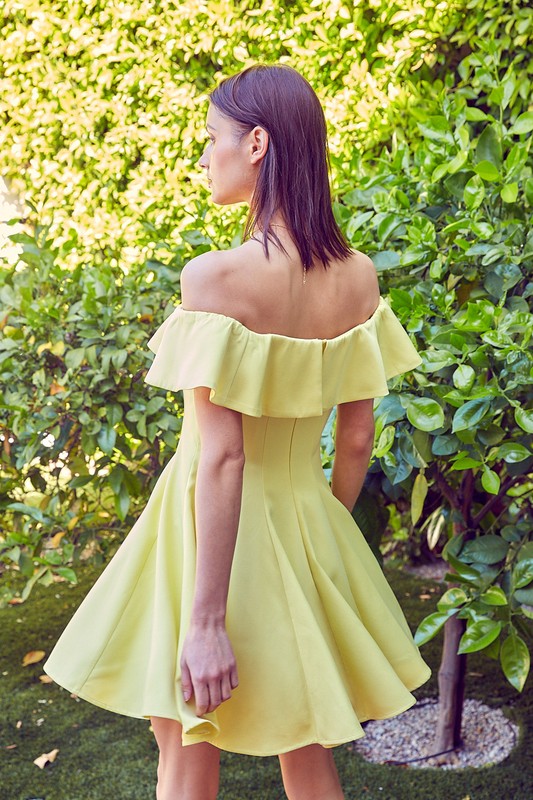 Summer Line Ruffle Dress