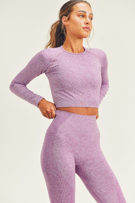 Violet Adapt Seamless Crop Top and Legging Set