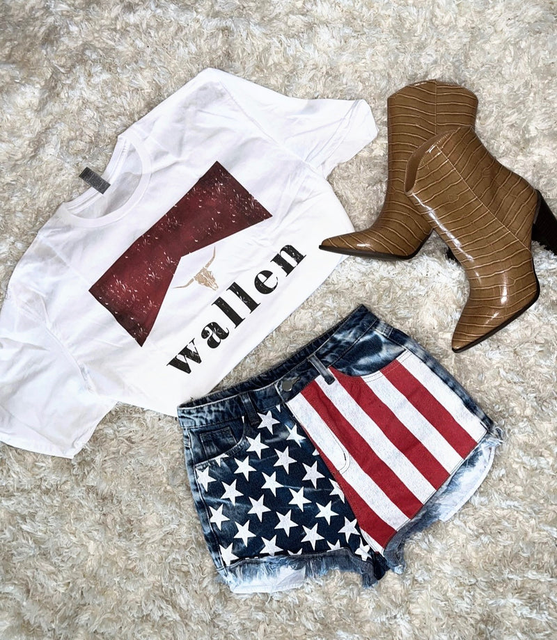 American Flag Shorts