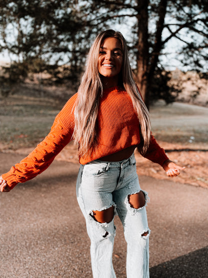 Brown Bubble Sleeve Cropped Sweater