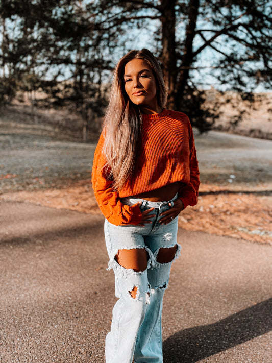 Brown Bubble Sleeve Cropped Sweater